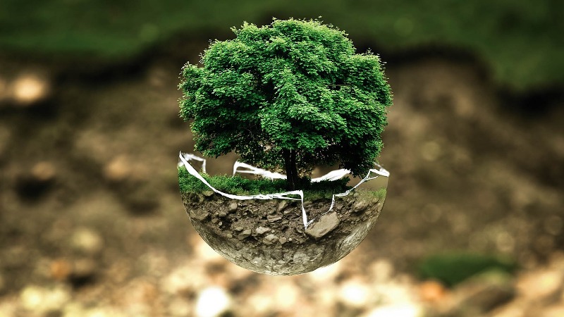 The Ultimate Guide to Save Trees: A Green Revolution